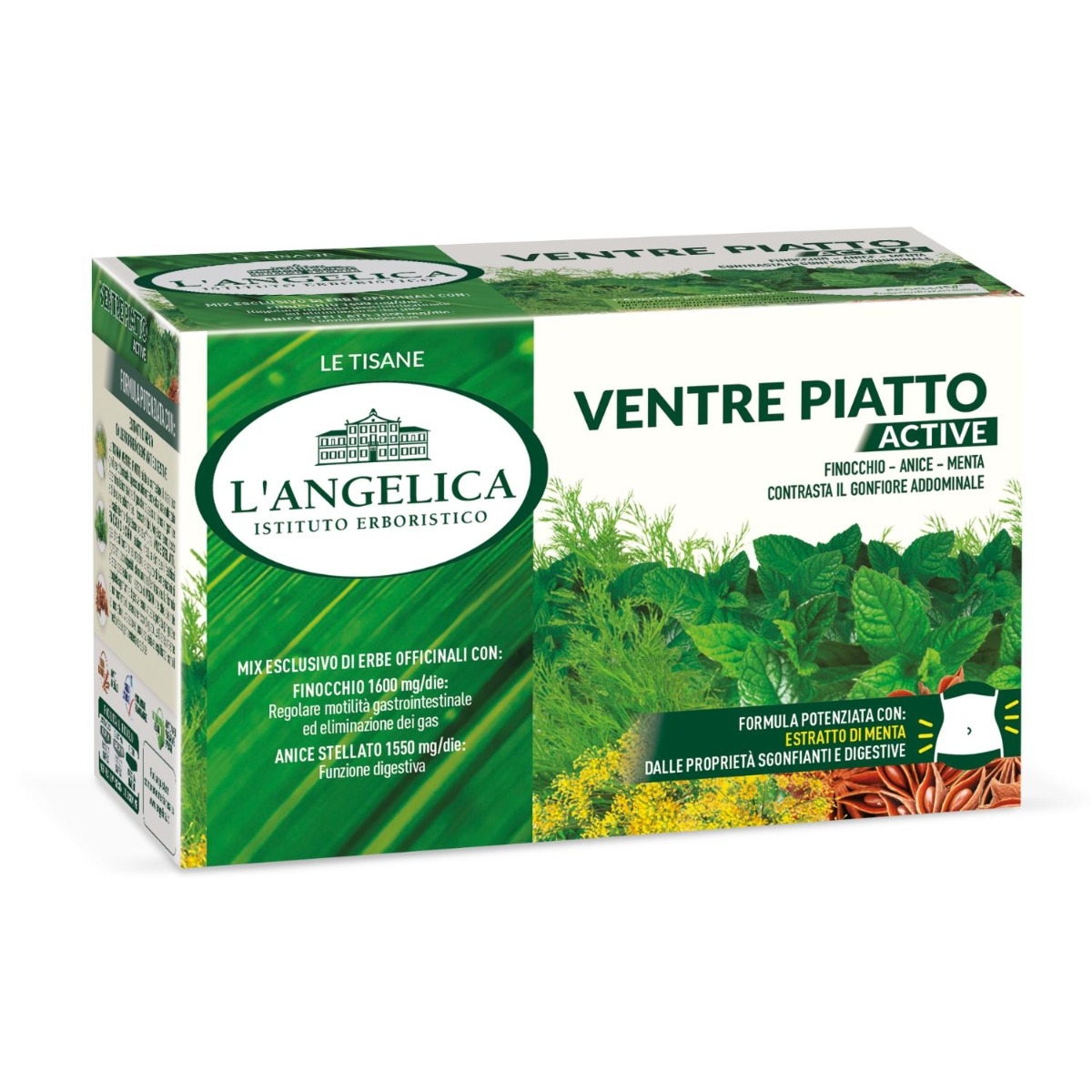 Ventre Piatto Active